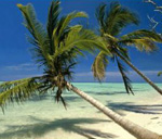 Punta Cana